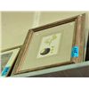 Image 1 : Framed apple print