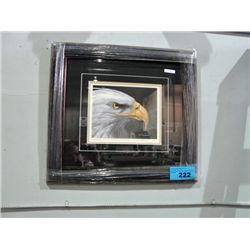 Framed LEP by Randy Fehr