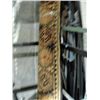 Image 1 : Multi colored wool area rug