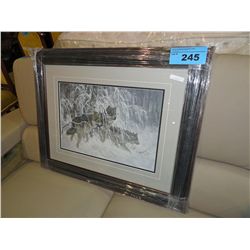 Framed Print by Larry Fanning