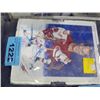 Image 1 : LImited edition gordie howe print # 358 out of