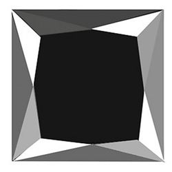 Black Diamond Princess 7.85Ct 11.7x11.6x7.5 mm