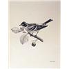Image 1 : Stoneham, Charles, and Lilian M. Medland (illustrator), The Birds of the British Islands, London, E.