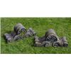 Image 1 : A pair of red sandstone gate pier finials, each carved with a stylised leaf motif above two "S" shap