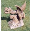 Image 1 : A terracotta gable tile, surmounted by a leering gryphon, with wings outstretched and mouth open, 56