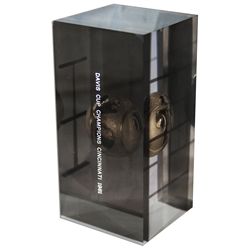 1981 Davis Cup Awarded to Arthur Ashe -- The Year He Led the U.S. Davis Cup Team to Victory as Capta