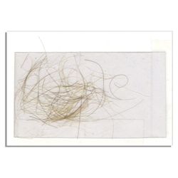 Rutherford B. Hayes Invitation -- February 1881 from the Executive Mansion -- ''...meet The Members