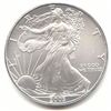 Uncirculated Silver Eagle 2003