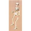Image 1 : A boxed Pelham Puppet "Skeleton", with disjointing action and original special control bar, complete