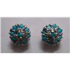Image 1 : 2.230g Earring of Firoza in Silver