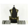 Image 1 : Ten 30 Round AR-15 Magazines With US Military Rig