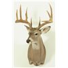 Image 1 : 10 Point Whitetail Deer Shoulder Mount