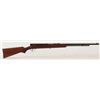 Image 1 : Savage .22 Semi-Auto Rifle FFL