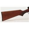 Image 2 : Savage .22 Semi-Auto Rifle FFL