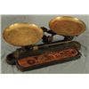 Image 2 : Troemner Balance Scale No. 10 B