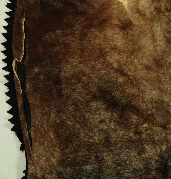 Horse Hide Rug