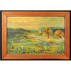 Texas Hill Country Bluebonnet Landscape