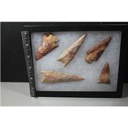 Five Colorful Pts, Weiss site, Central MO