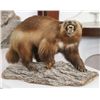 Image 1 : Wolverine Full Mount