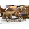 Image 2 : Wolverine Full Mount