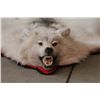 Image 4 : Grey Wolf Rug