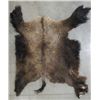 Image 2 : Buffalo Pelt