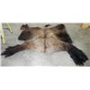 Image 3 : Buffalo Pelt
