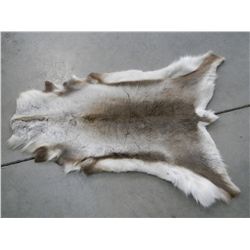 Caribou Rug