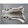 Image 1 : Caribou Rug