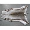 Image 2 : Caribou Rug
