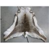 Image 3 : Caribou Rug