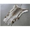 Image 4 : Caribou Rug