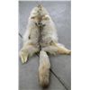 Image 2 : Coyote Fur