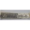 Image 8 : Walrus Ivory Cribbage Board