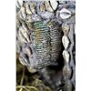 Image 9 : Mukenga Mask 1800's