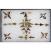 Image 1 : Washington Indian Arrowheads