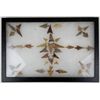 Image 2 : Washington Indian Arrowheads