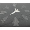 Image 2 : Collection of Idaho Arrowheads