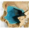 Image 3 : Cree Indian Elk Dew Claw Bag