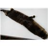 Image 1 : Otter Fur