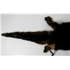Image 3 : Otter Fur
