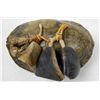 Image 1 : Pueblo Turtle and Dew Claw Rattle