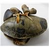 Image 2 : Pueblo Turtle and Dew Claw Rattle