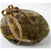 Image 3 : Pueblo Turtle and Dew Claw Rattle