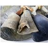 Image 7 : Pueblo Turtle and Dew Claw Rattle