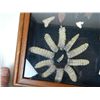 Image 8 : Indian Arrowhead, Elk Teeth, and more Collection