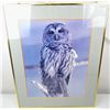Image 1 : Owl Photograph