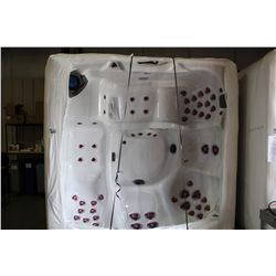 COLEMAN SPAS 8' HOT TUB MODEL #L-S12-CO866DL-12S-007829