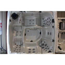 COLEMAN SPAS 8' HOT TUB MODEL L-S13-CO866DL-13S-000058