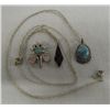 Image 4 : Collection of Five Native American Pendants